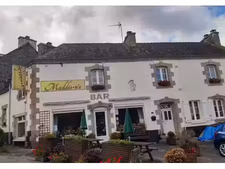 vente commerce 5 pièces 209 m² sainte-brigitte (56480)