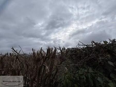 vente terrain 943 m² le quesnoy (59530)