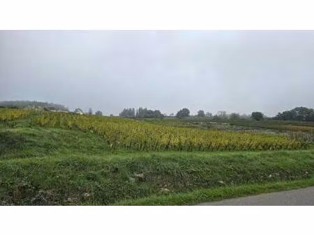 terrain constructible viabilisé à vendre