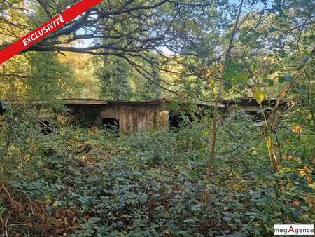 yannick lepage consultant megagence