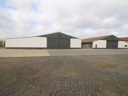 bien professionnel à louer à handzame € 1.425 (lf8j8) - image immo bvba | zimmo