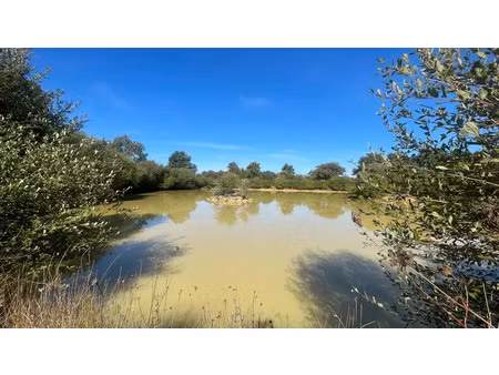 vente maison à grosbreuil (85440) : à vendre / 102m² grosbreuil