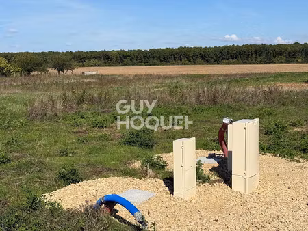 vente terrain 1350 m² à soye-en-septaine (18340)  38 000 €
