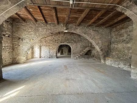 local professionnel / murs libres