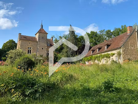 manoir nevers 15 pièce(s) 540 m2 + longère