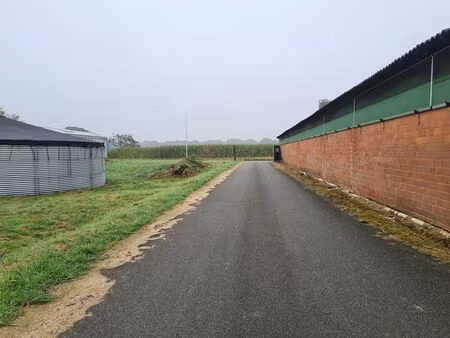 bien professionnel à louer à merksplas € 800 (lfatl) - heylen vastgoed - turnhout | zimmo