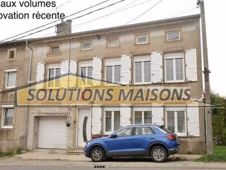 vaste maison renovee avec garage et jardin