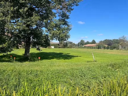 vente terrain 875 m² à lavelanet-de-comminges (31220)  48 000 €