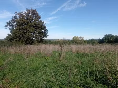 vente terrain 3247 m² à saint-junien (87200)  35 000 €