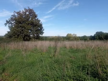 vente terrain à saint-junien (87200)  35 000 €