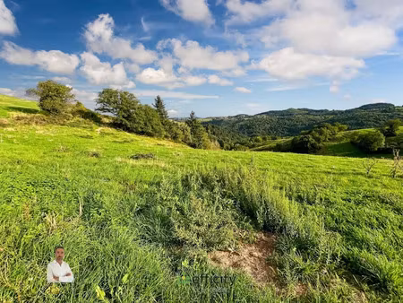 vente terrain 2000 m² à saint-rémy-de-chargnat (63500)  69 000 €