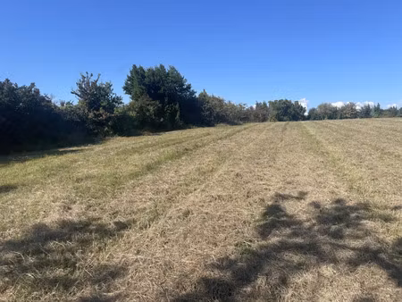 vente terrain 500 m² à bayon-sur-gironde (33710)  45 000 €