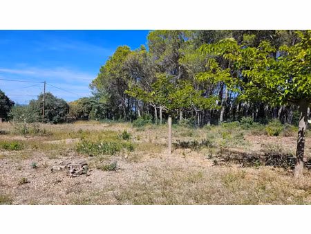 vente terrain 3360 m² à vendémian (34230)  357 840 €