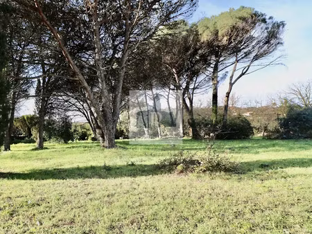 vente terrain 1500 m² à saint-tropez (83990)  2 630 000 €