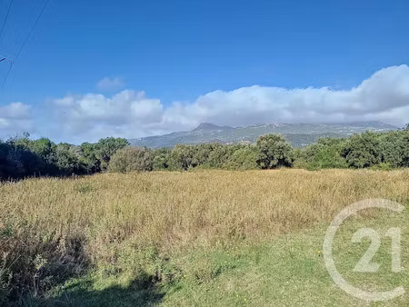 vente terrain à batir 12588 m² à figari (20114)  850 000 €
