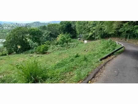 vente terrain à ducos (97224)  397 500 €