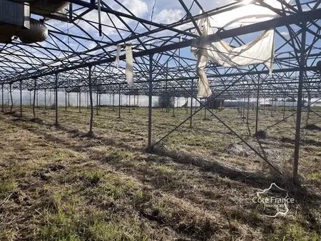 vente terrain 130000 m² à longueville (47200)  1 180 000 €