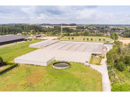 commercieel te huur in ternat