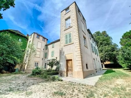 prestigieux duplex de 150 m2 en vente vernaison  france