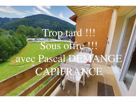 appartement à vendre ventron 3 pièce(s) 58m2 135 000€