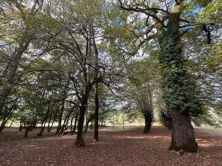 vente maison 10 pièces 230 m² saint-jory-las-bloux (24160)