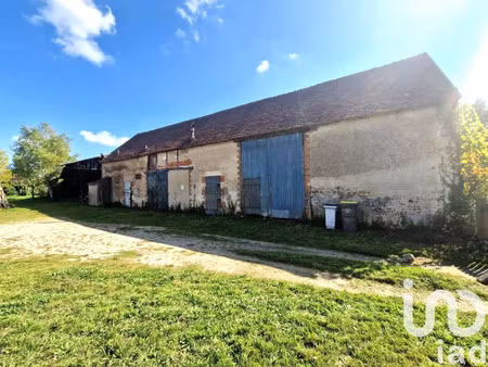 vente maison à bray-en-val (45460) : à vendre / 230m² bray-en-val