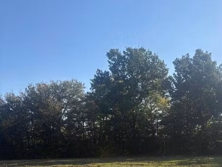 terrain à bâtir à cadarsac (33750)