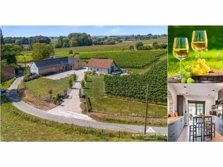 ferme à vendre à flobecq (rbu43460)