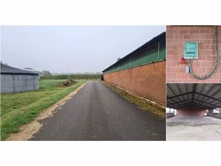 surface industrielle à louer à geheul 11 merksplas (rbu43514)