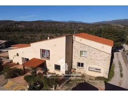 villa de 7 pièces de luxe en vente finestret  occitanie