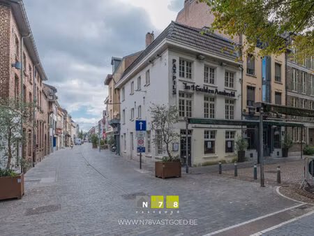 commercieel te koop in maaseik