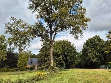 vente terrain 8433 m² guipry-messac (35480)