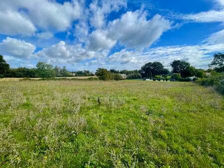 vente terrain à la caillère-saint-hilaire (85410) : à vendre / 4797m² la caillère-saint-hi