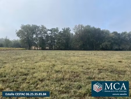 vente terrain 1600 m² betbezer-d'armagnac (40240)