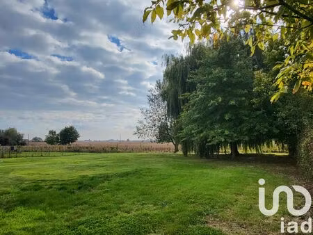 vente terrain 1150 m² cassel (59670)