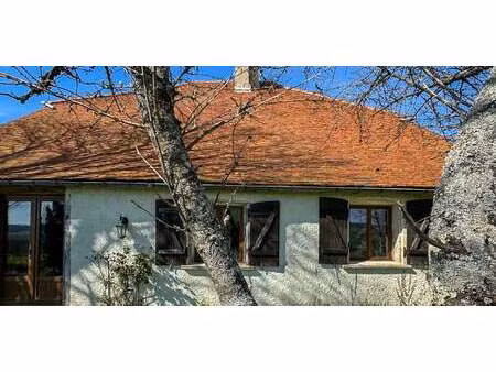 maison avec terrasse vendeuvre-sur-barse (10)