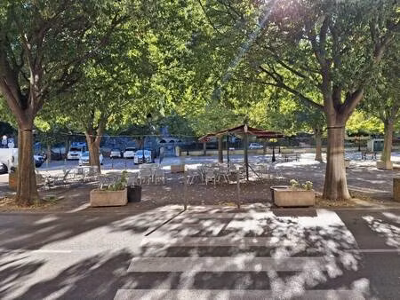 frédéric del picchia