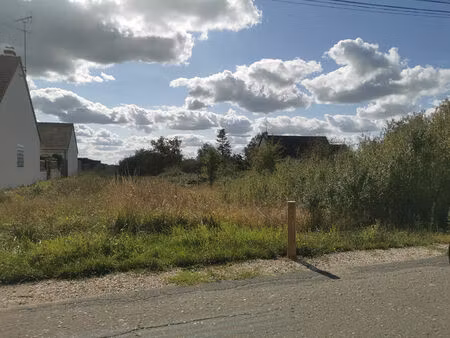 vente terrain  2960.00m²  maslives