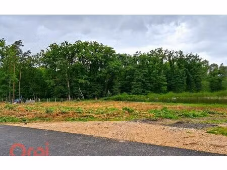 terrain selles-sur-cher m² t- à vendre  24 500 €