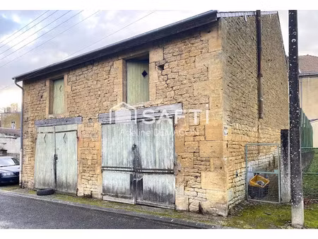 vente immeuble 270 m² à montmédy (55600)  55 000 €