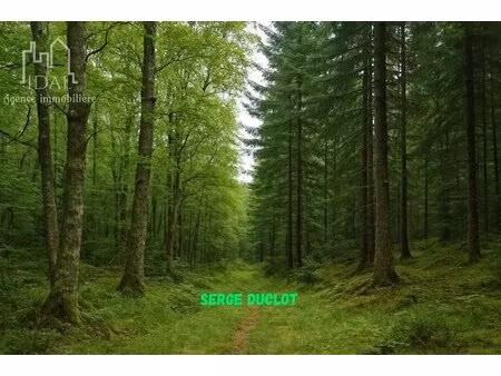 propriétés forestières (fayard)