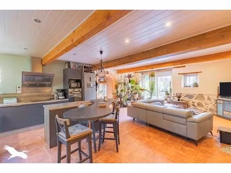 vente maison 9 pièces 166 m² saint-jean-de-verges (09000)