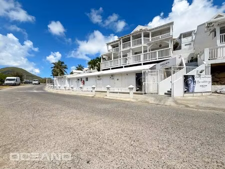 vente commerce 4 pièces 102 m² boisredon (17150)