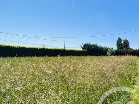 terrain à vendre - 4010 m2 - branges - 71 - bourgogne