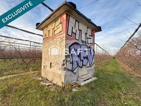 safti dhifi kalek conseiller indépendant