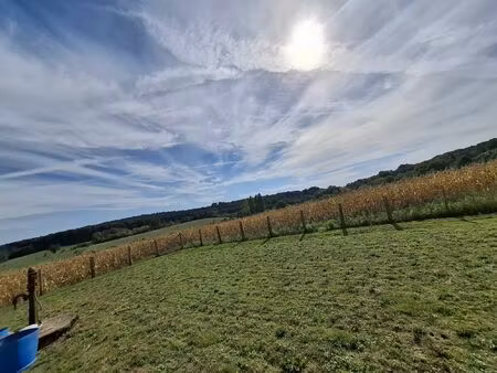 vente terrain 11450 m² sainte-sabine-sur-longève (72380)