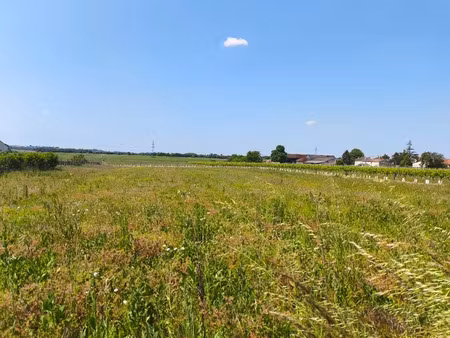 vente terrain 995 m² à sainte-lheurine (17520)  15 000 €