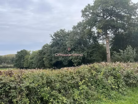 vente terrain 5370 m² à sarzay (36230)  4 000 €