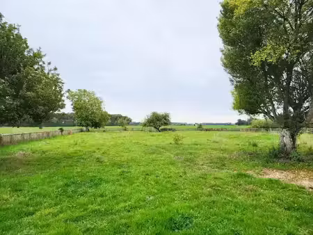 vente terrain 2653 m² à villeneuve-les-genêts (89350)  23 000 €