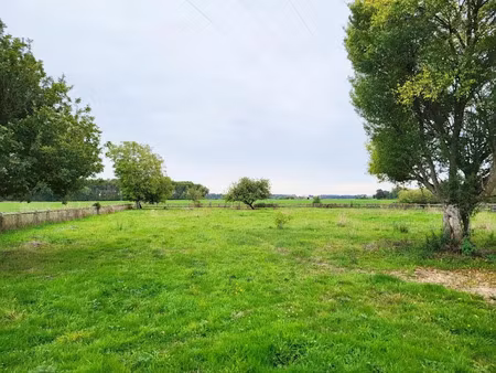 vente terrain à batir 2653 m² à villeneuve-les-genêts (89350)  25 000 €